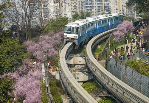 团圆|青山绕城去，繁花入眼来，重庆这条网红地铁带你驶向春天