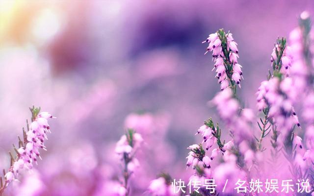 孩子|孩子,我不欠你的吃不吃读书苦,决定你以后靠脑子还是靠力气吃饭