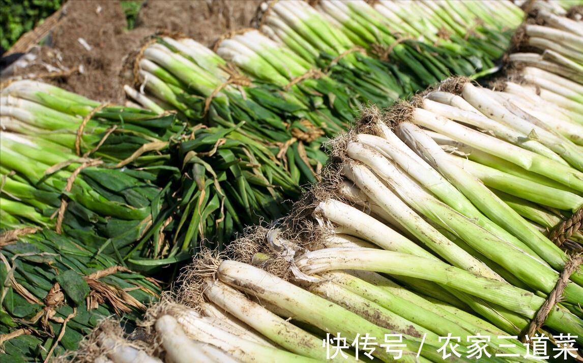 买回来的大葱，别随便放在地上，教你保存技巧，放半年都很新鲜