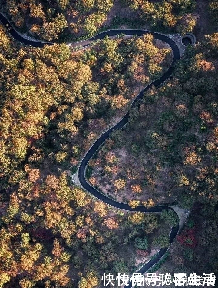 打卡|这儿有最美的公路，行走的山水画，速来打卡！！