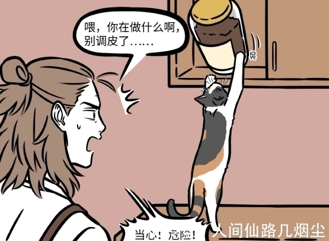 非人哉|非人哉:为了监视杨戬,观音也是下血本,疯狂过去送猫