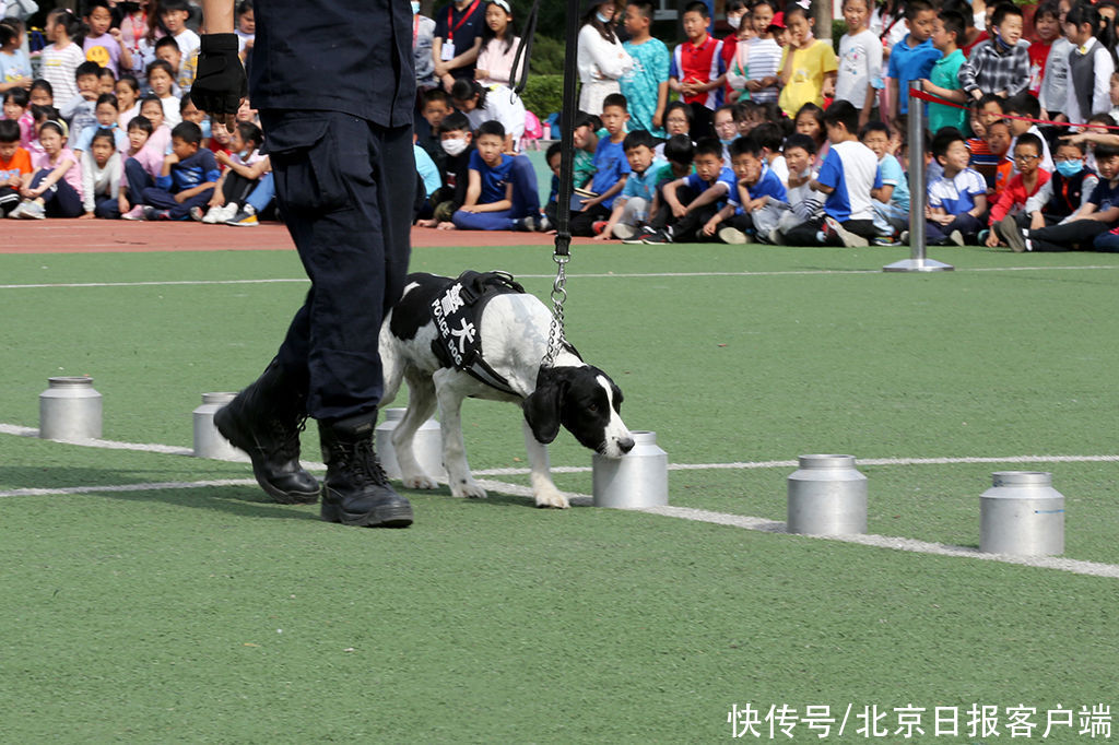 筑牢校园安全防线！北京特警进小学开展反恐安全教育活动