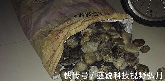 鱼池|偷偷在阳台砖砌鱼池, 邻居来玩, 去物业把我投诉了
