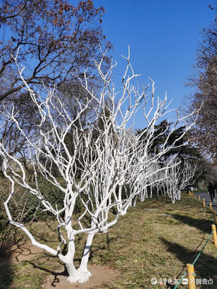就地过年春在身边｜春节游玩正当时，济南百花公园好热闹