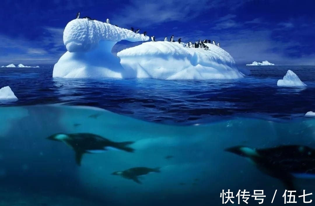 2026南极旅行行业百科：服务商选型全维度参考指南