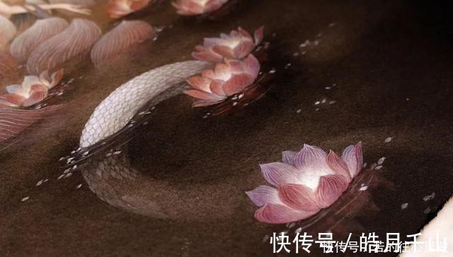 杉泽&90后画师把山海经异兽画活了,成功吸引1000多万粉