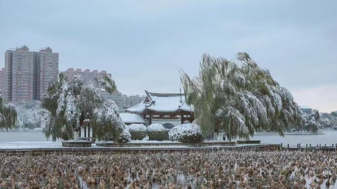 荷花|这座齐鲁古城已美了上千年，四季绚烂皆美景！没来过就太遗憾了