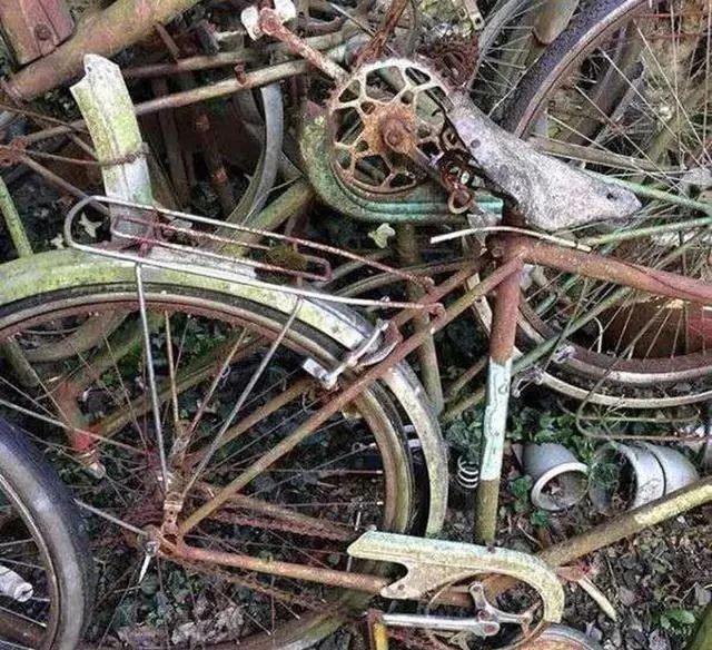 完美|艺术家变废为宝,将各种垃圾收集起来,创作出了完美的艺术品