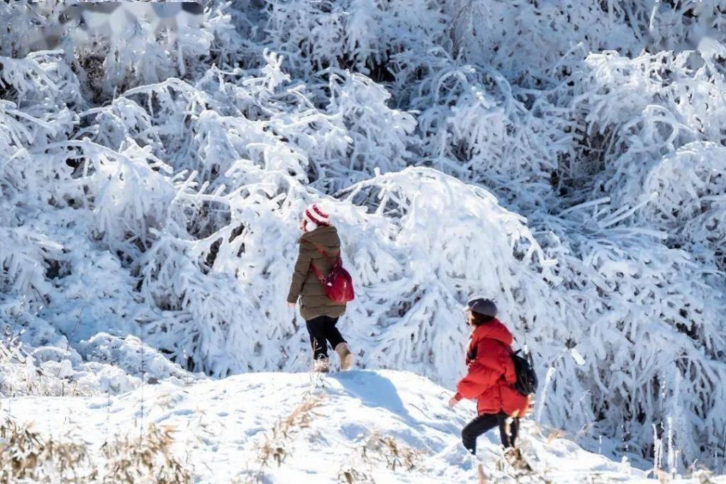 雪后初霁 蓝天白雪映金山