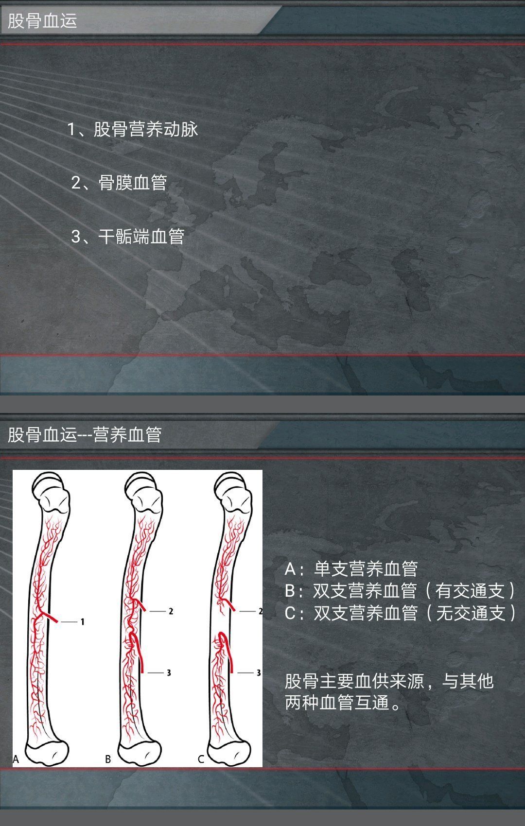 骨髓腔|交锁髓内针治疗股骨干骨折