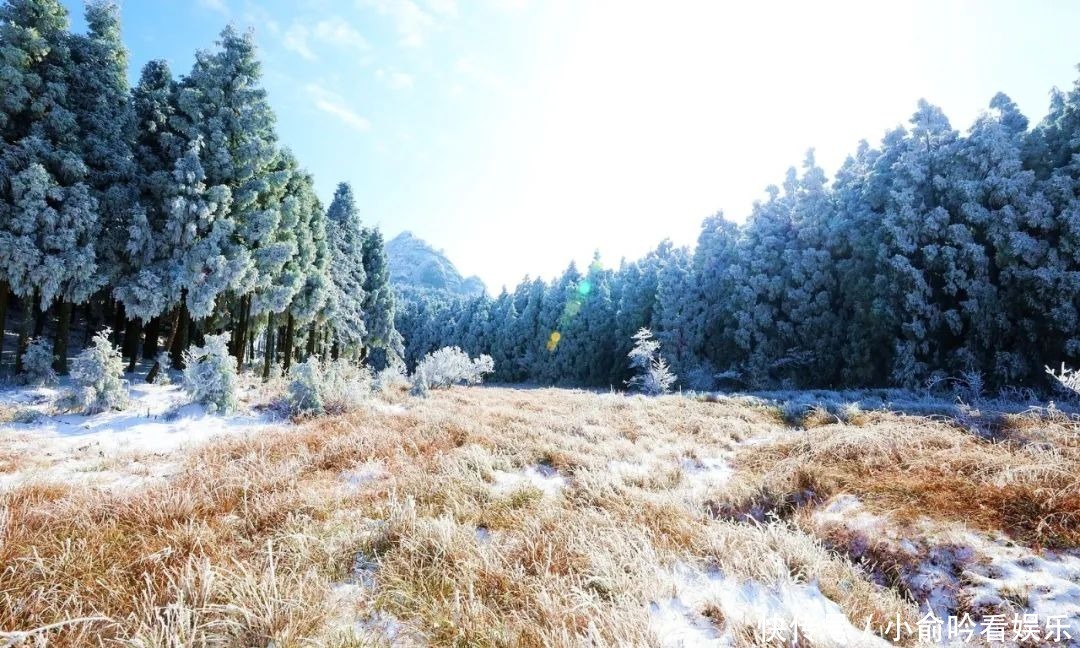 雪景|遂昌大美雪景图！让你一次看个够