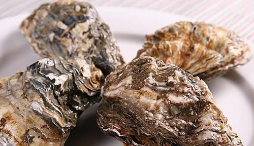 长相明明一模一样,为啥一个叫生蚝一个叫牡蛎原来有这种区别