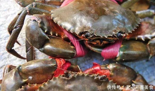 去嗨皮国内游|一起去文昌旅游,吃海鲜美食吧!