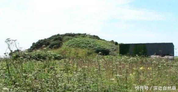 地堡|女子买下二战期间废弃73年地堡，屋里环境让人赞叹不已！