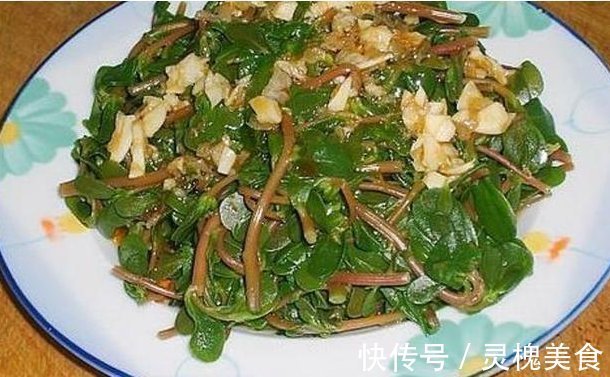 花卉|客厅最适合养这种“花”,不仅能乌发,还开花100天,赶紧养1盆