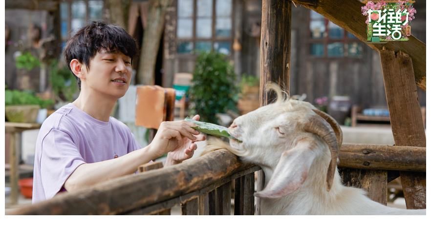 小猪|综艺《向往的生活》，这季的结束是种改变，以这种目送离开的方式