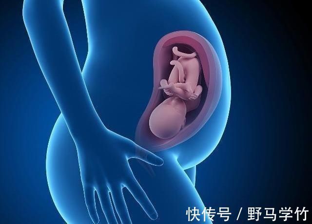宝宝|怀孕4个月后,为什么晚上胎动频繁?孕妈应该清楚这3个情况!
