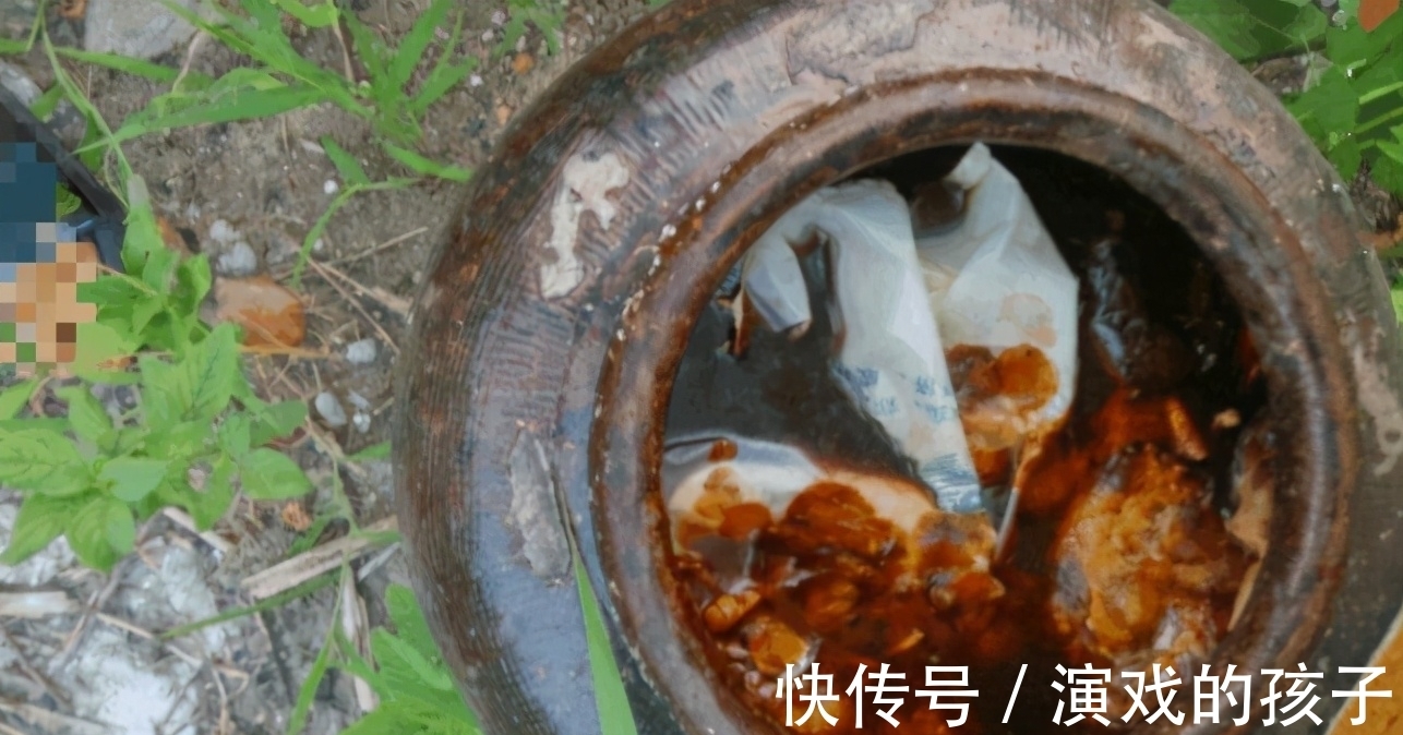 好处|油烟机废油入土前需要做哪些处理,为养花人,该早点知道