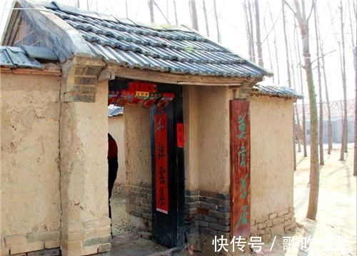 红树林|莫言:诺贝尔文学奖中国第一人,为什么课本却从来不选录他的文章