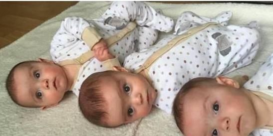 受精卵|三胞胎兄弟迎娶三胞胎姐妹，现场宾客傻眼了新郎确定抱对人了