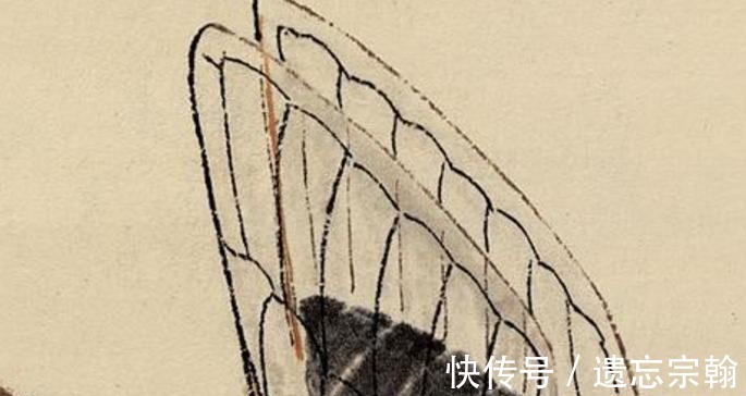 收藏价值@齐白石晚年画了一只“蝉”,为何价值8亿放大数倍后这是画吗