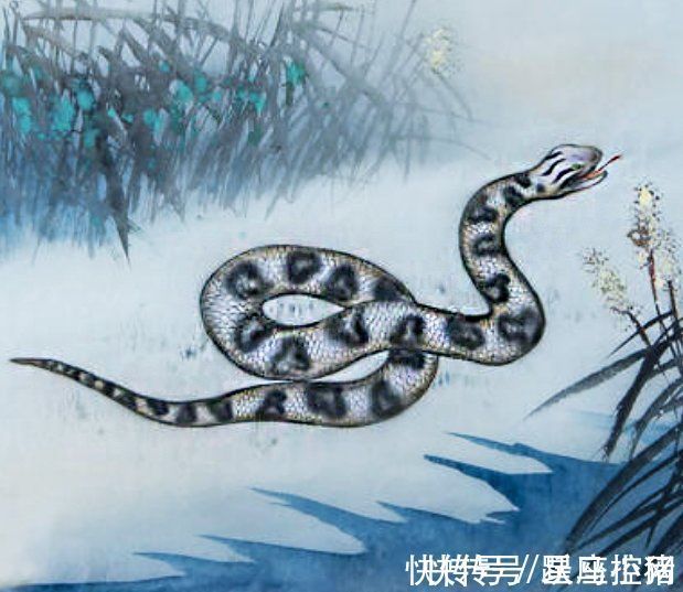 收入|过年前顺利过上富日子的四大生肖,近期突飞猛进,收入拔高不少