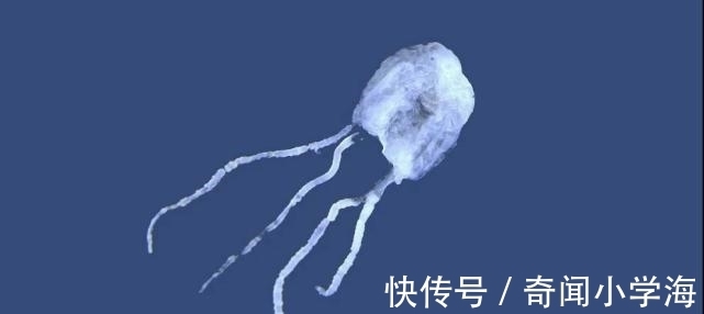24个冷知识：生物老师看完直呼不可思议，但却真实存在的有趣知识。