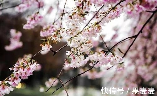 作诗&黄庭坚很著名的佳作,见解高深,语妙天下,更值得收藏和细读