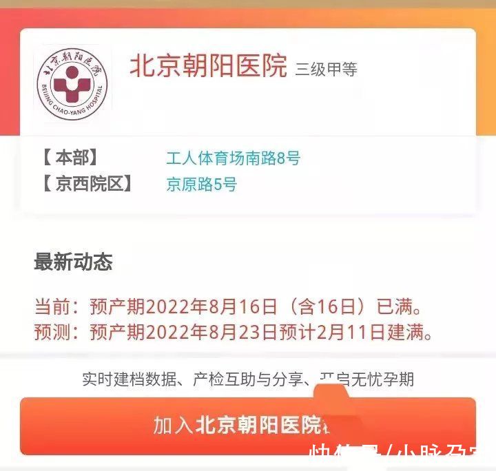 预产期|2022年北京怀孕建档必看：预产期10月各医院建档名额查询