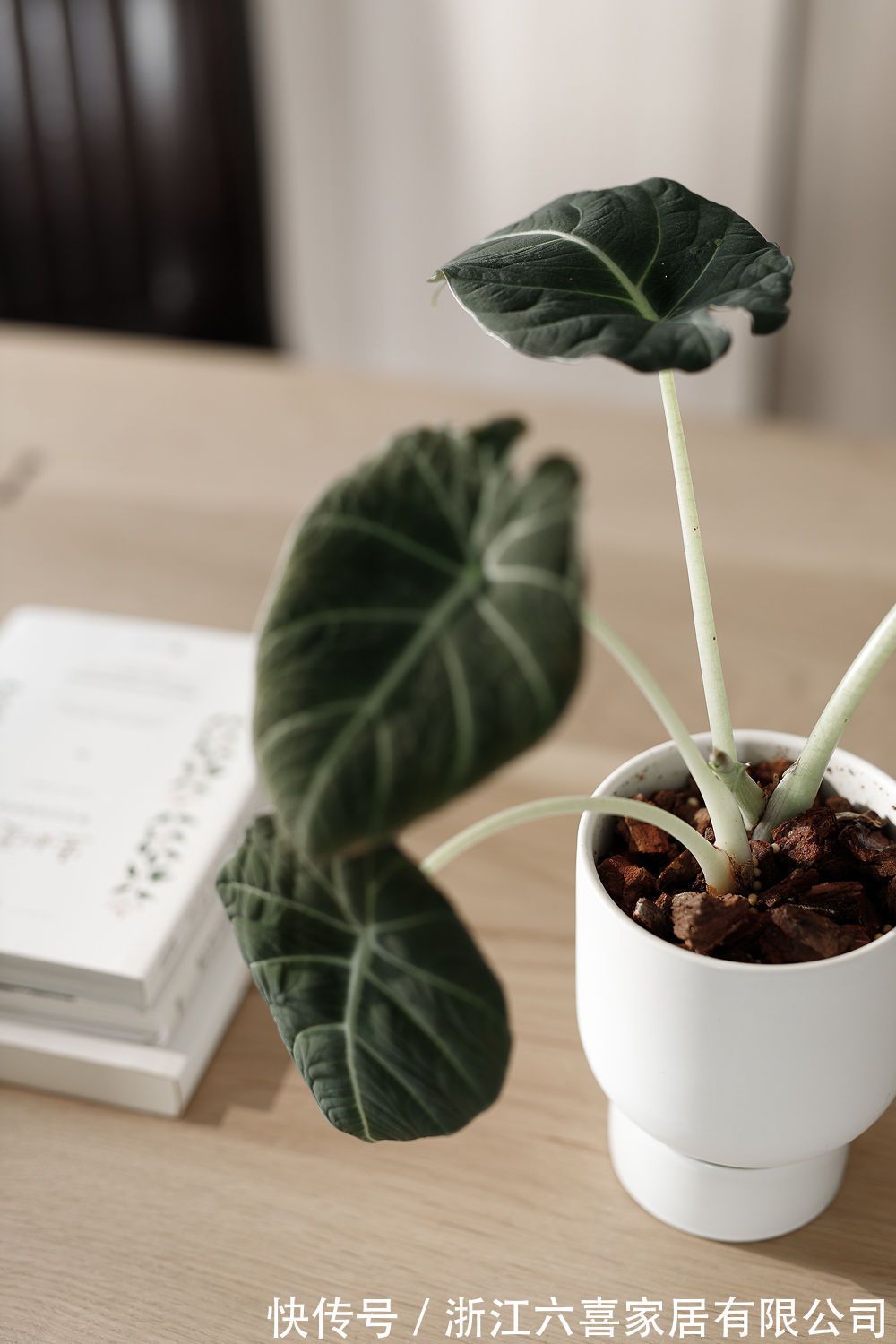 混搭|112㎡现代日式混搭现代简约 |倾听岁月,温柔且自由