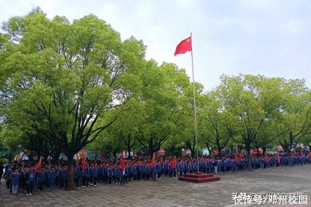 袁隆平|珍惜粮食 杜绝浪费——邓州市刘集镇中心小学用实际行动缅怀袁隆平