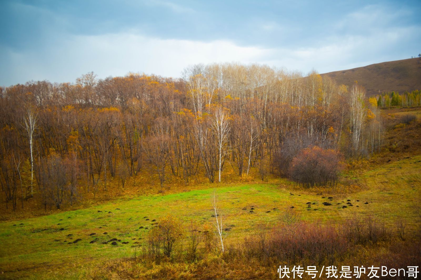 营地|乐领诺图格营地——草原旅居生活