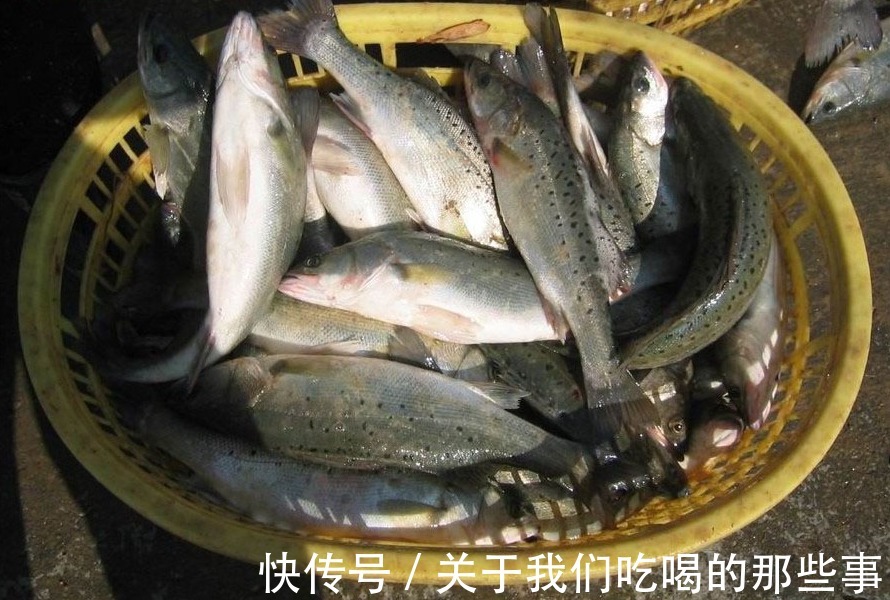 营养|这5种鱼没营养,对人体有害,早被拉入“黑名单”,但很多人爱吃