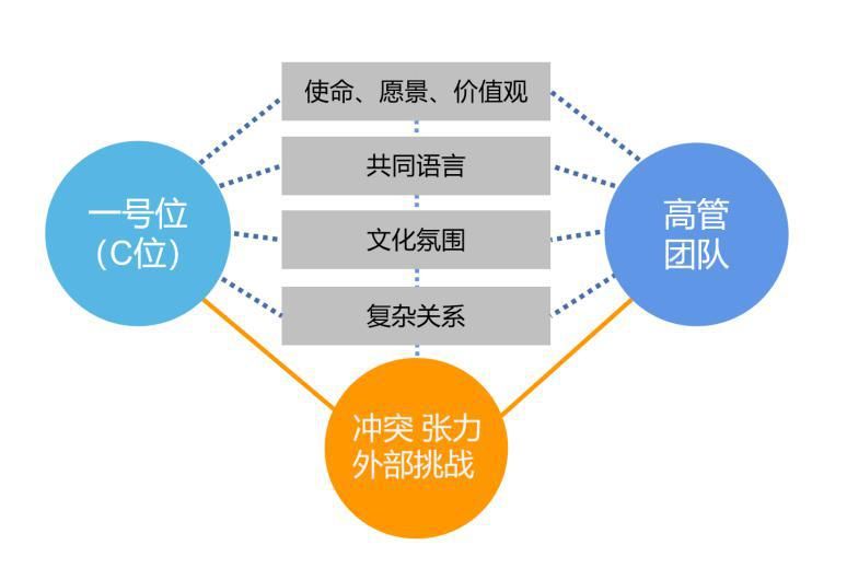 高管团队=企业实力？教育集团如何锻造核心“铁骑统领”