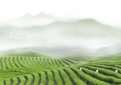 闻喜宰相故里之称家风故事|宰相裴汶的《茶述》