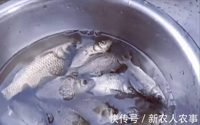 安徽一男子火了,直接坐在自己家的屋中钓鱼,网友:房子不卖吧?