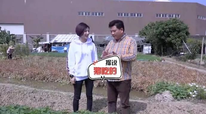 健康|美食|几分钟一道农家菜,简单美味又健康!