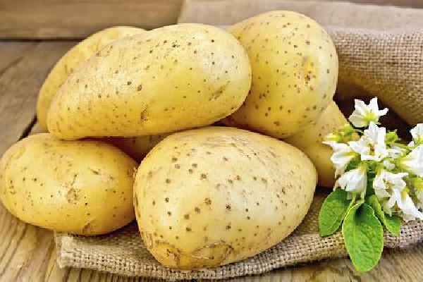 平时常吃的土豆,有这3大禁忌,每一个都对健康有严重影响