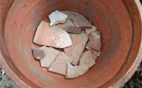 “不起眼”的东西垫盆底,营养土都省了,不再有烂根困扰!