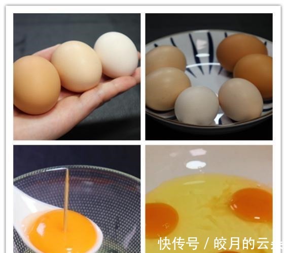激素鸡蛋危害大，鸡场老板教我一招，一眼就能辨别，看完长知识了！