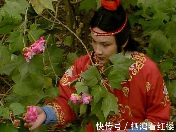 元春!薛家丫头,为什么敢折贾家的花儿,还自负“独我使得”?