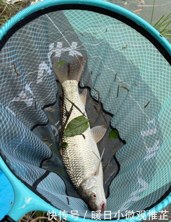 垂钓|壮观!广西一河道数百名钓鱼人挤坐一起,垂钓盛行是消费降级?