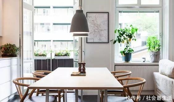 外国人发明的“室内小菜园”,一年四季长爆盆,太神奇了……!