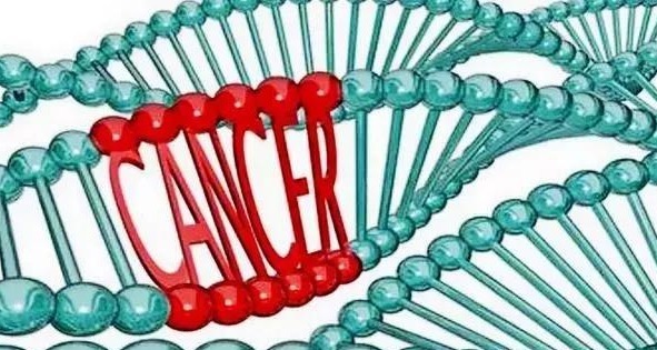 铁律|终生不得癌症的11条铁律,你能守住几条,有3条很难做到