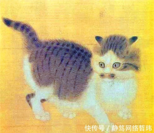 西游记这么多妖魔鬼怪,为何唯独没出现猫妖?其实另有隐情