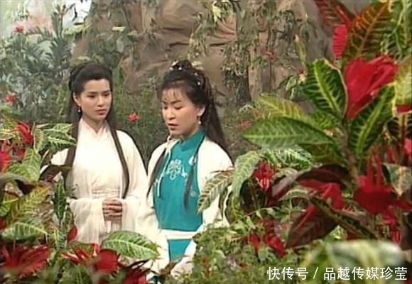 神雕|神雕中的情花有毒,杨过因它受16年相思之苦,如今却有人敢养它