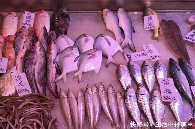 海鱼|买鱼时,就买这5种,都是野生鱼,目前无法人工养殖,可放心食用