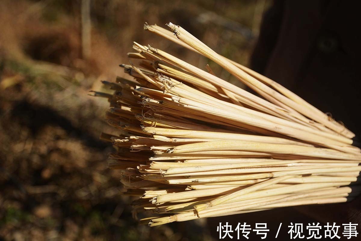 糯稻|80岁大爷住山村，种菜砍柴样样活都干，村民称会“享福”