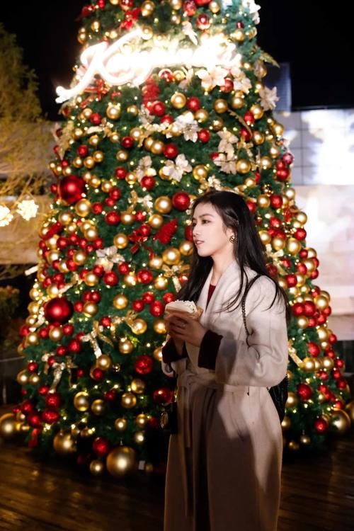  凯宾斯基|第一次参加德国传统圣诞集市｜凯宾斯基圣诞月