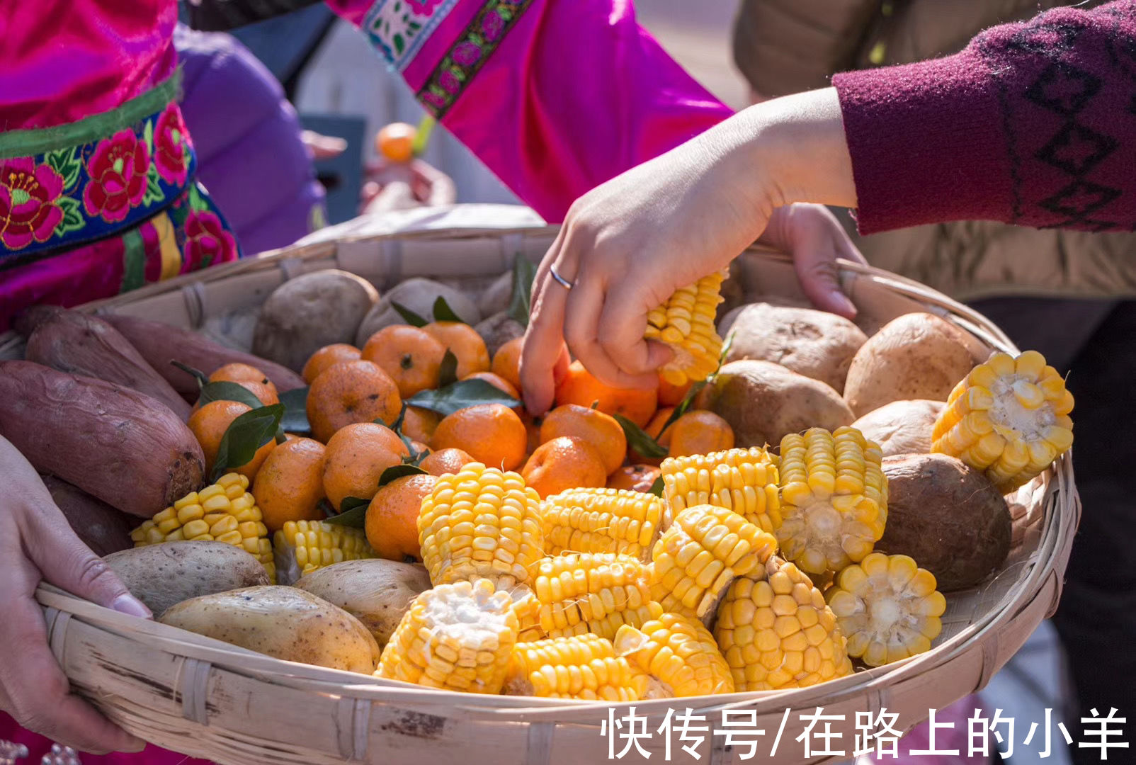 北海|三亚进入旺季后消费飞涨，不如换个选择去这三座温暖的城市过冬天